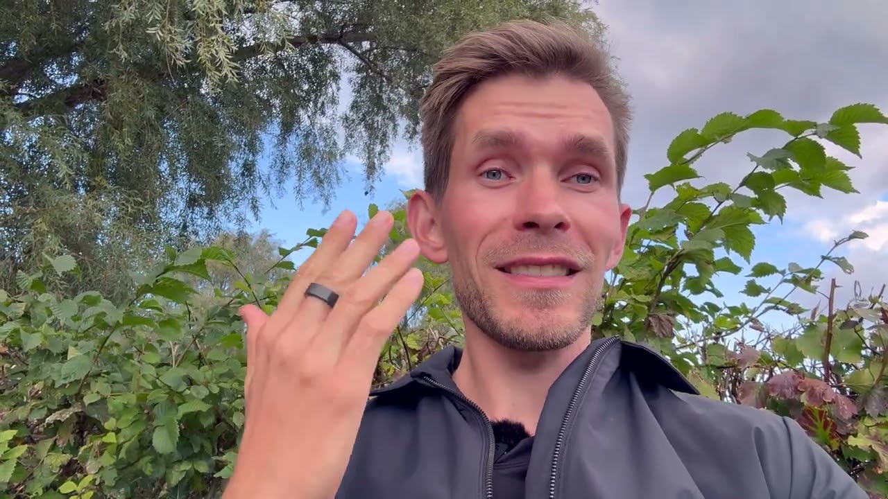 De sagde, jeg skulle f&aring; mig et job