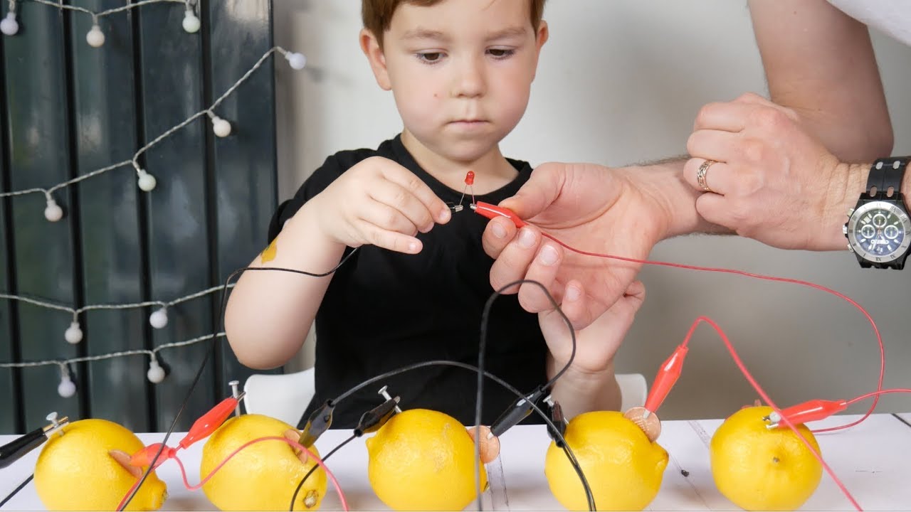 How to Make a Lemon Battery