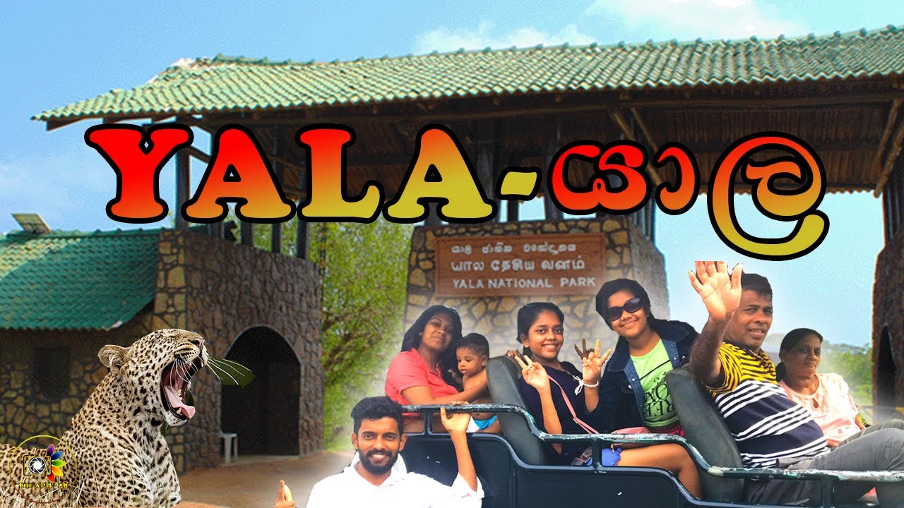 යාල සෆාරි  |  Colombo To Yala - 2023