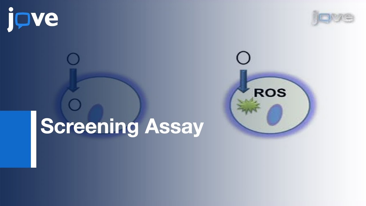 Screening Assay: Oxidative Stress In Feline Astrocyte Cell Line, G355-5 l Protocol Preview