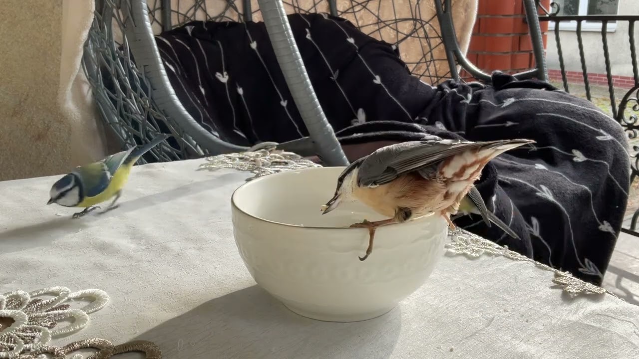 11 березня 2026 р.