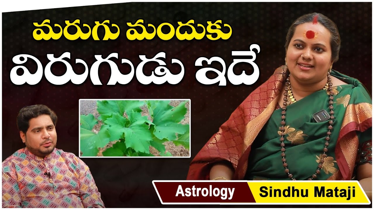 మరుగు మందుకు విరుగుడు ఇదే.! | Shri Bhadrakali Peetam Sindhu Mataji About Marugu Mandu Antidote