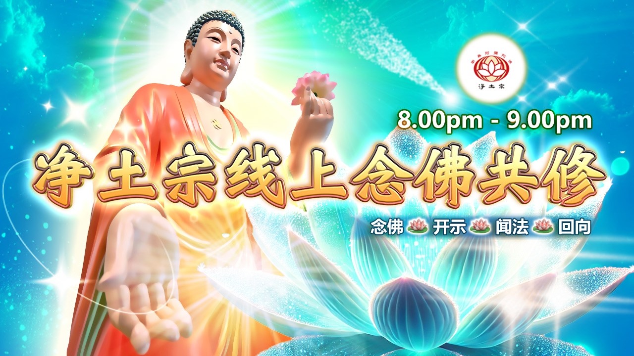 【同步】净土宗线上念佛共修暨法师开示【第2154天】+ 开示视频《业力 愿力》09-02-2026 Online Session（晚上8pm-9pm (GMT+8))【打开CC字幕】