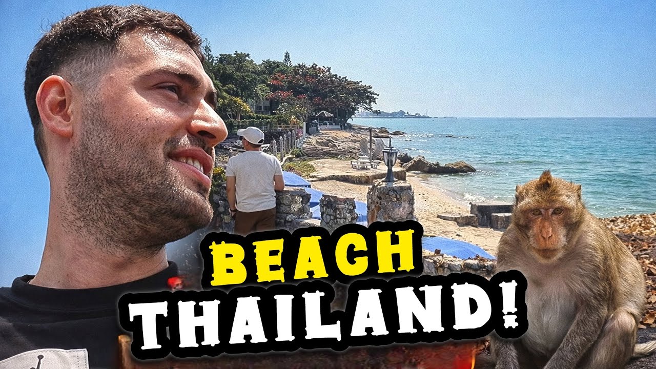 Дикие обезьяны сошли с ума от моих бананов! 🐒🍌 | Таиланд