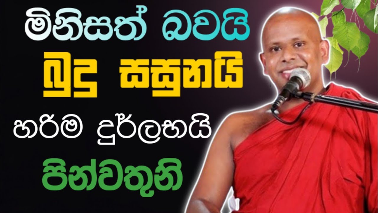 මිනිසත් බවයි බුදු සසුනයි හරි දුර්ලභයි පින්වතුනි 🙏  / Walimada saddaseela thero🪷 