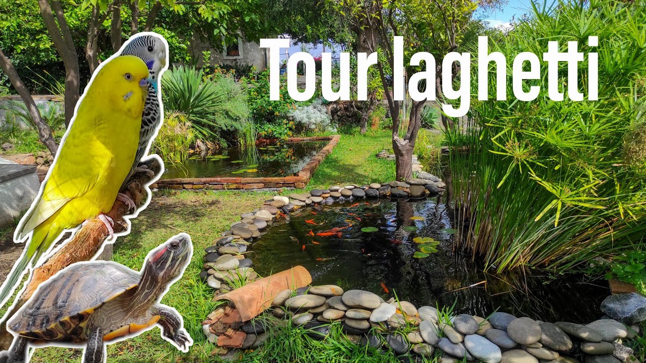 TOUR dei LAGHETTI e NON SOLO!