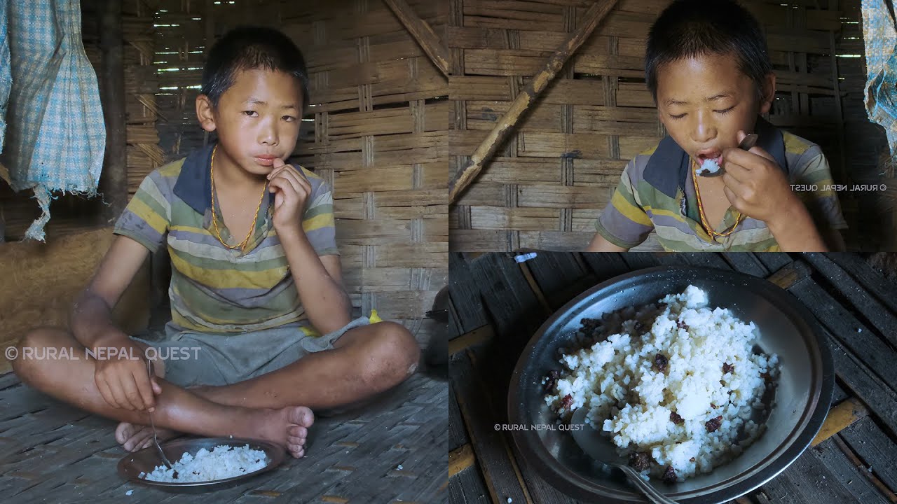 Family in the Jungle || Season - 2 || video - 69 || Cowshed Food || Rural Nepal ||