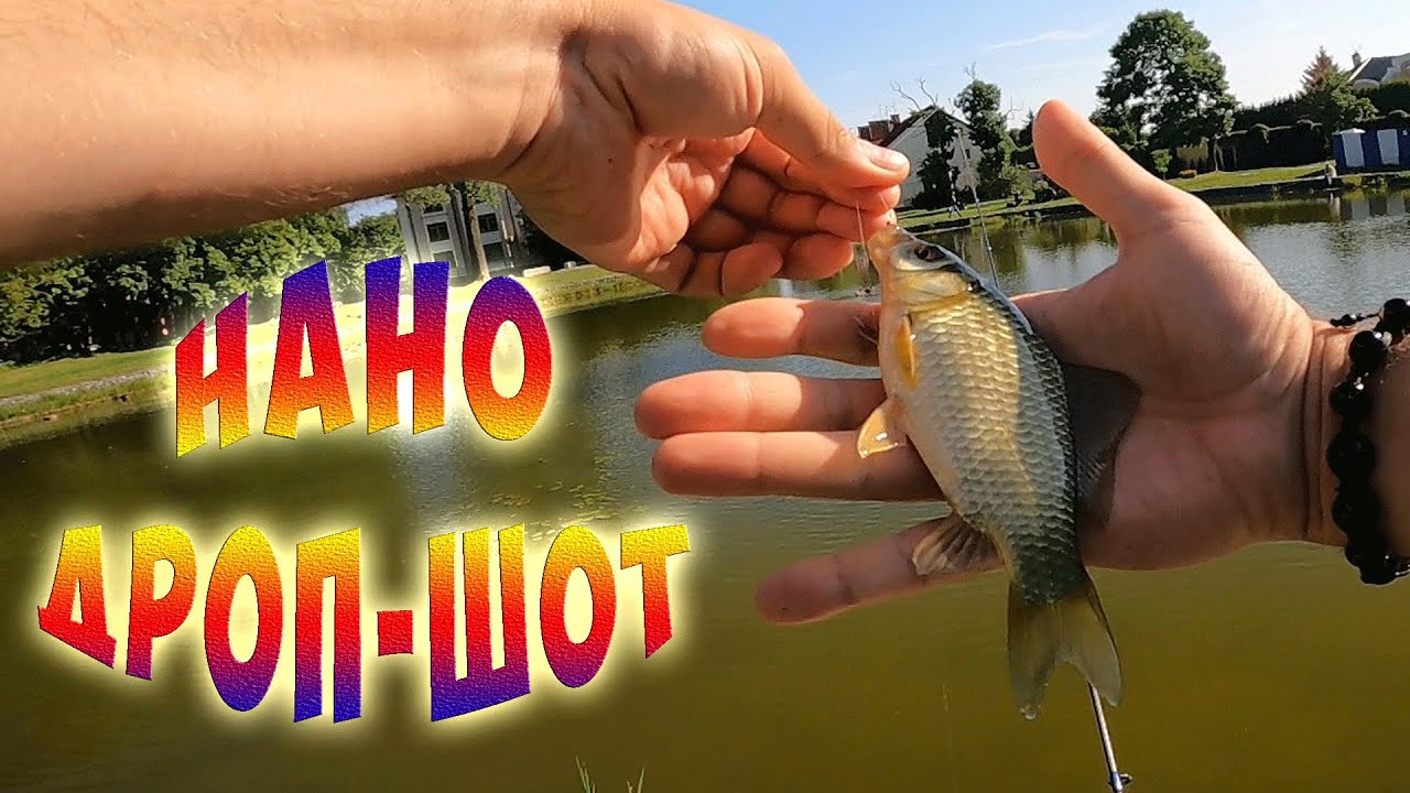 Рыбалка на снасть нано дроп-шот | Ловля рыбы в луже)))