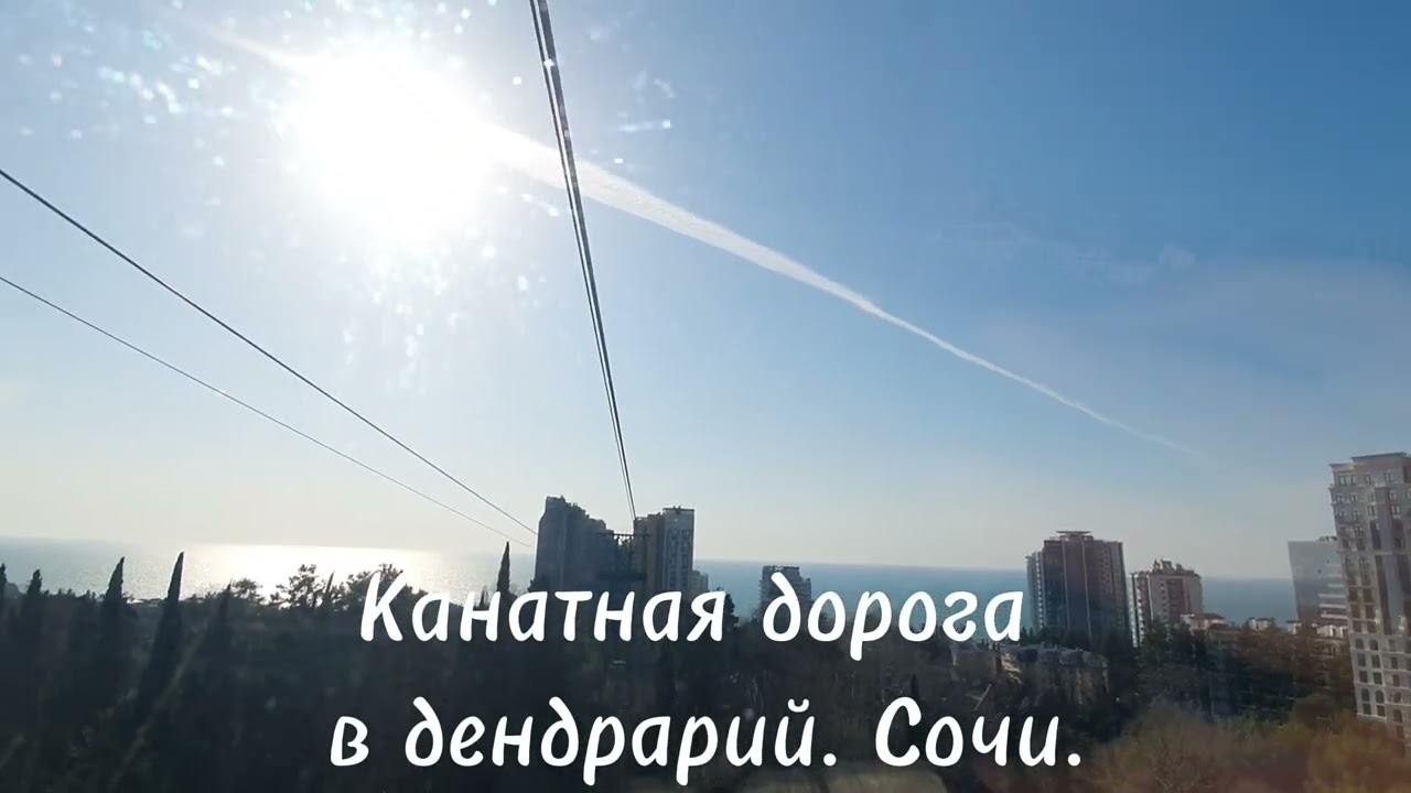 В парке Дендрарий в Сочи есть подвесная канатная дорога. Она соединяет верхнюю и нижнюю части парка.