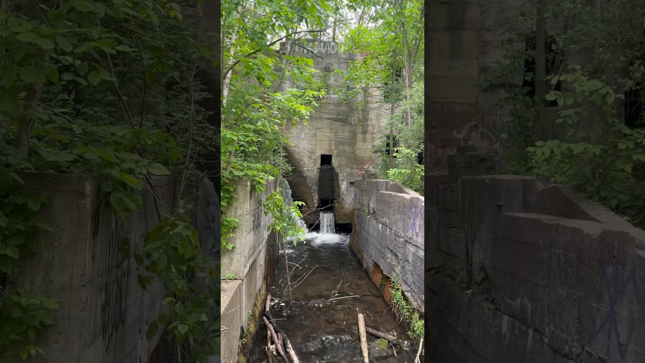Exploring Newaygo, Michigan.  #michigan #adventure #hiking #exploremichigan