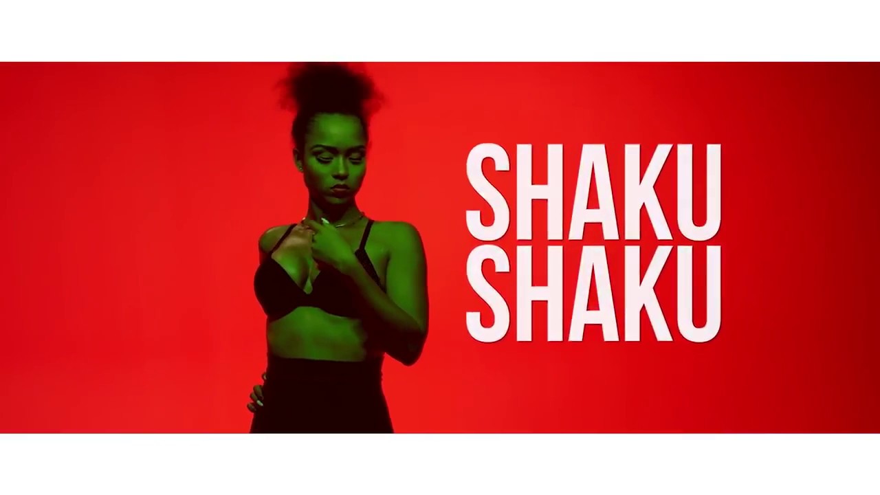 DJ Prince   Skaku Shaku Official Video ft Skales