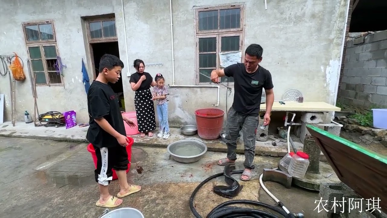 米级巨物劲真猛，阿勋放干水后才能抓住，今晚又有大餐吃了