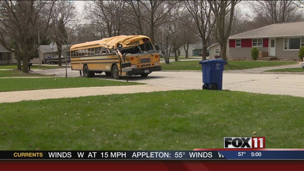 Bus driver cited in crash with tree