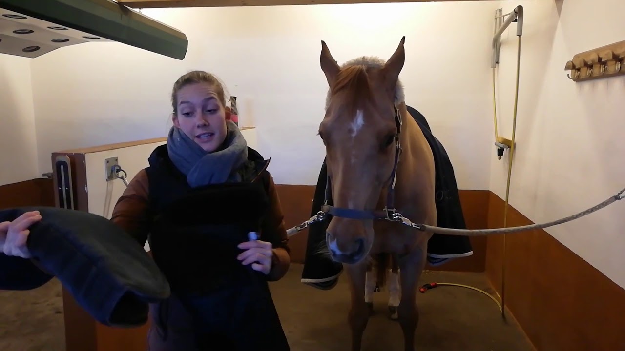 Which Saddle Pads I Use and Why