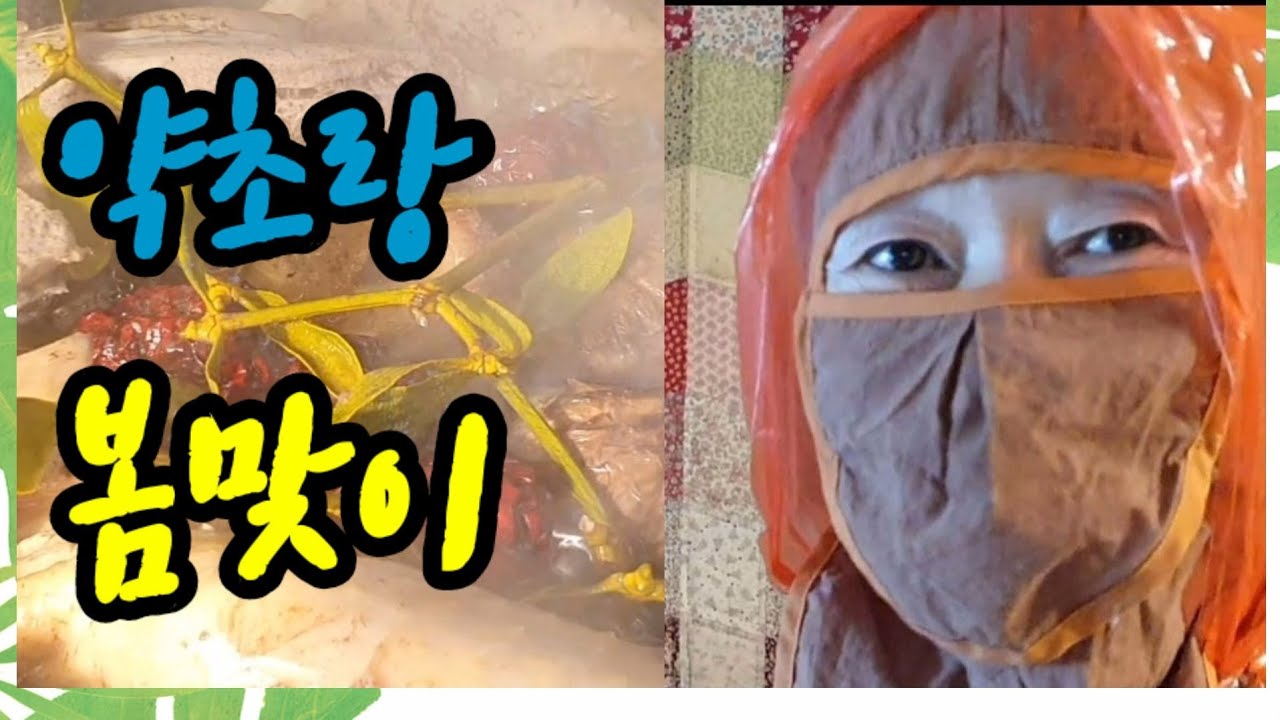 약초와 함께 하는  봄맞이, 올 해 실행해보니 좋았던 것들을 정리해보았어요