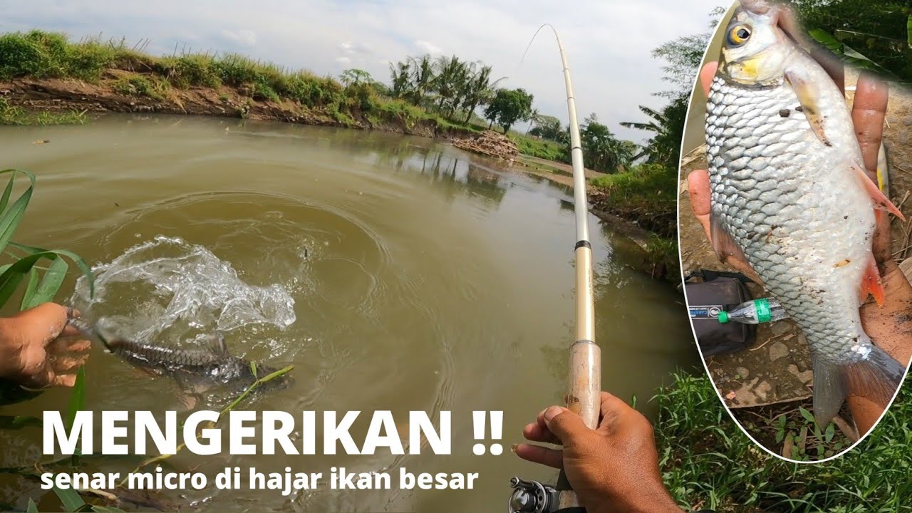 SUNGAI EDAN !! LIHAT ISI NYA .. BIKIN GEMETAR PEMANCING TEGEK