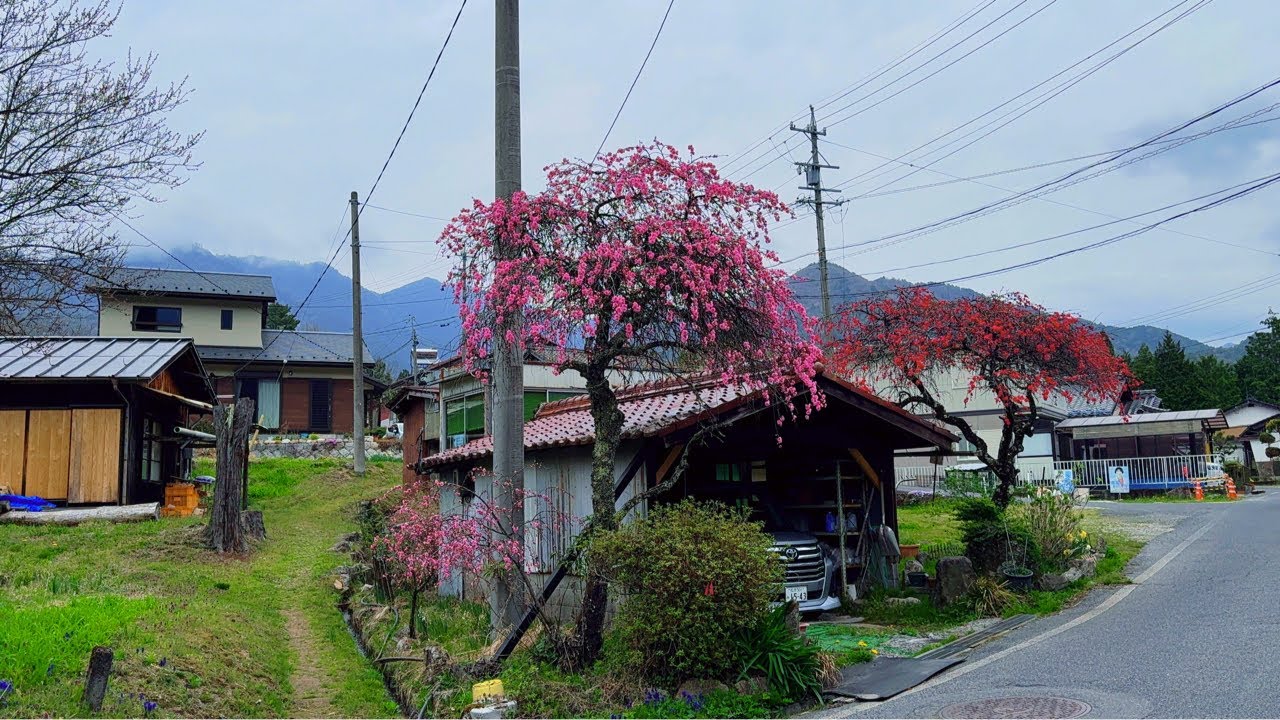 4K Japan Walk, Beautiful Japanese Village Walking Tour 2026 HDR