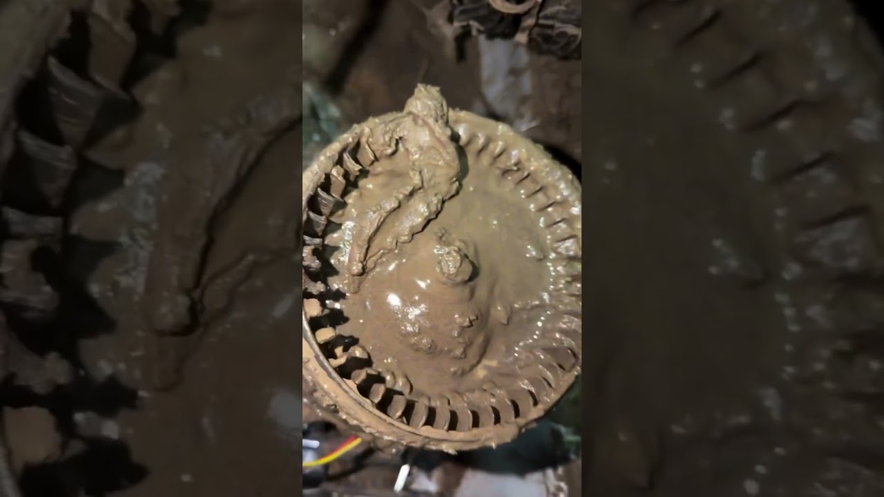 Спіймав невеличку калюжку