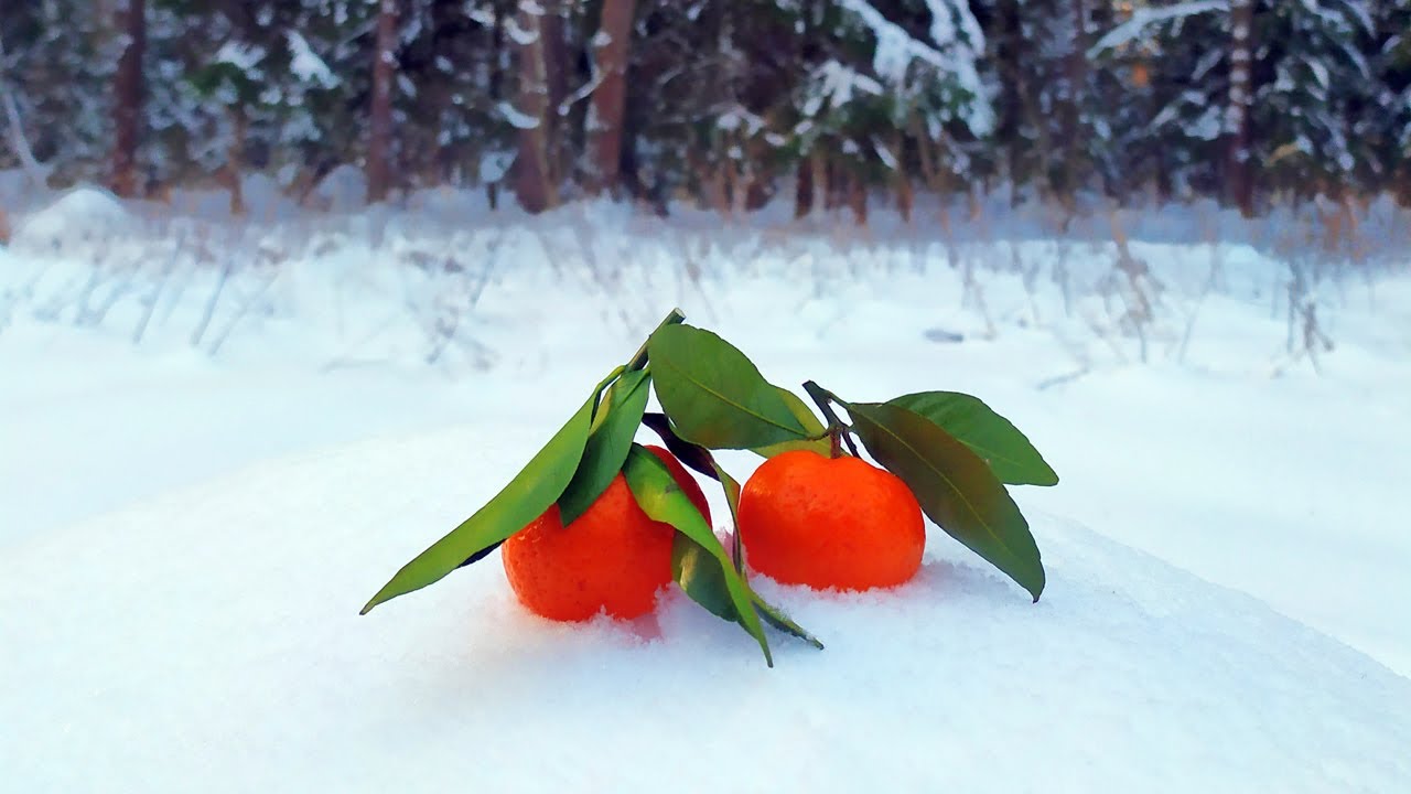 Телевизор - Мандариновый снег \ Mandarinen Snow