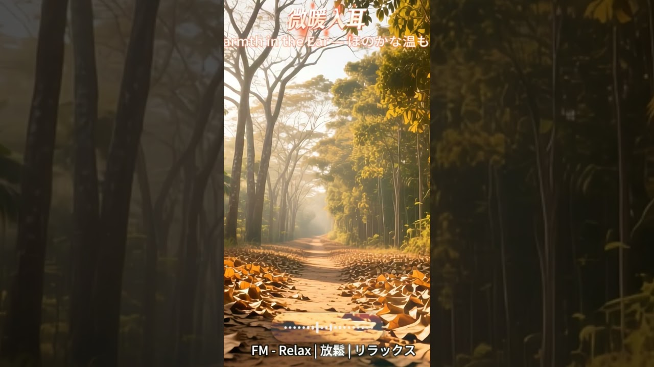 【舒心小調-微暖入耳】2.5小時輕柔鋼琴與熱帶森林環境音｜深度放鬆、助眠、冥想、讀書工作必備背景音樂