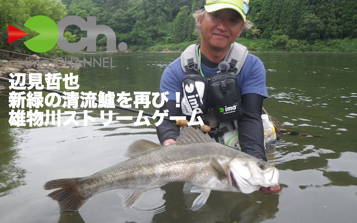 辺見哲也 新緑の清流鱸を再び！雄物川ストリームゲーム