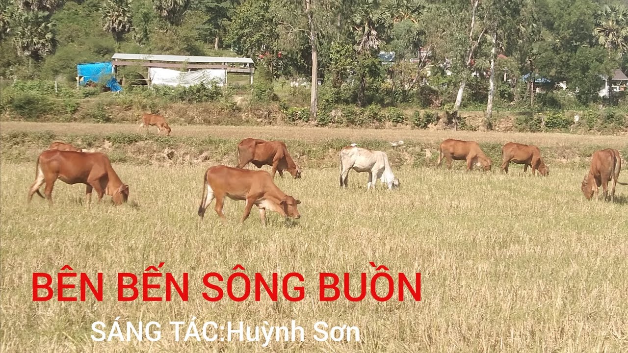 BÊN BẾN SÔNG BUỒN (Đứng Bên Sông Buồn,Anh Lặng Nhìn Con Đò Dần Trôi,........