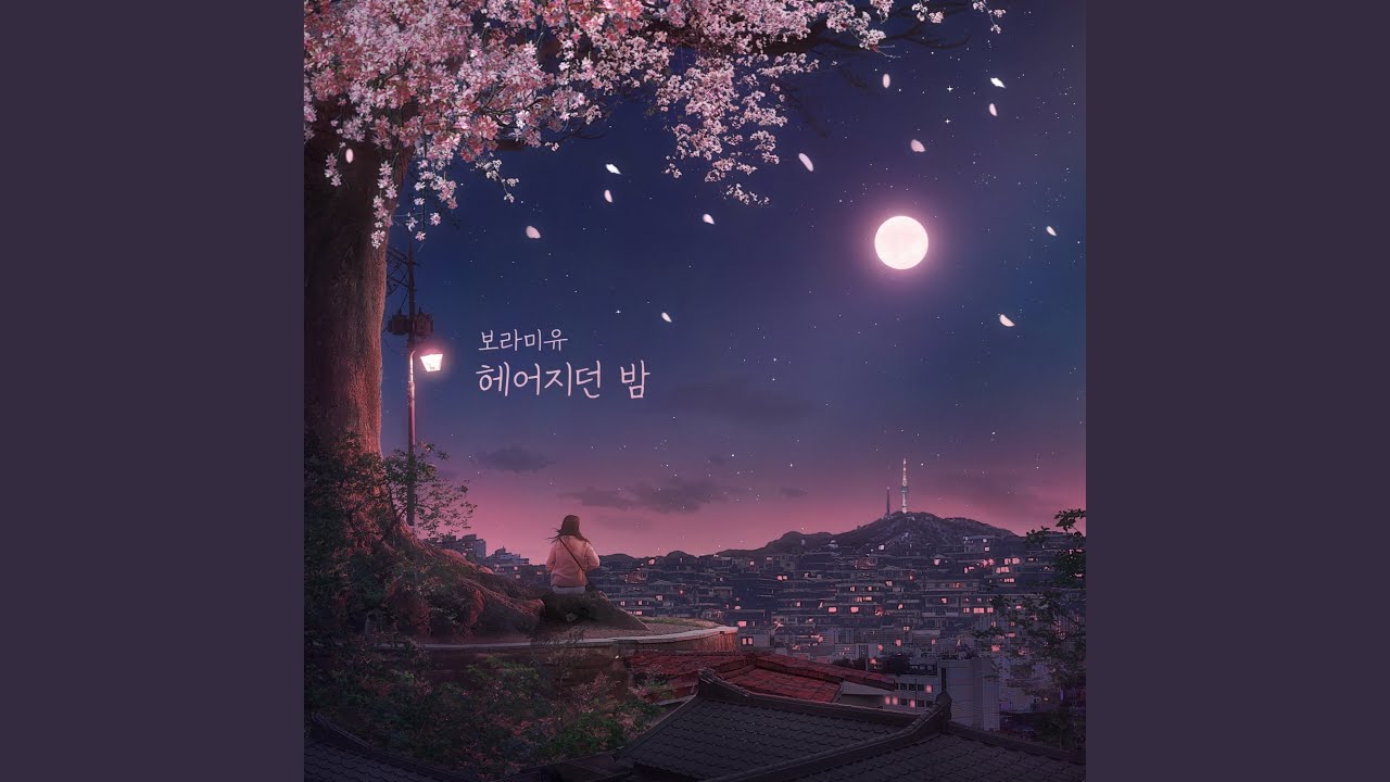 The night of parting (헤어지던 밤)
