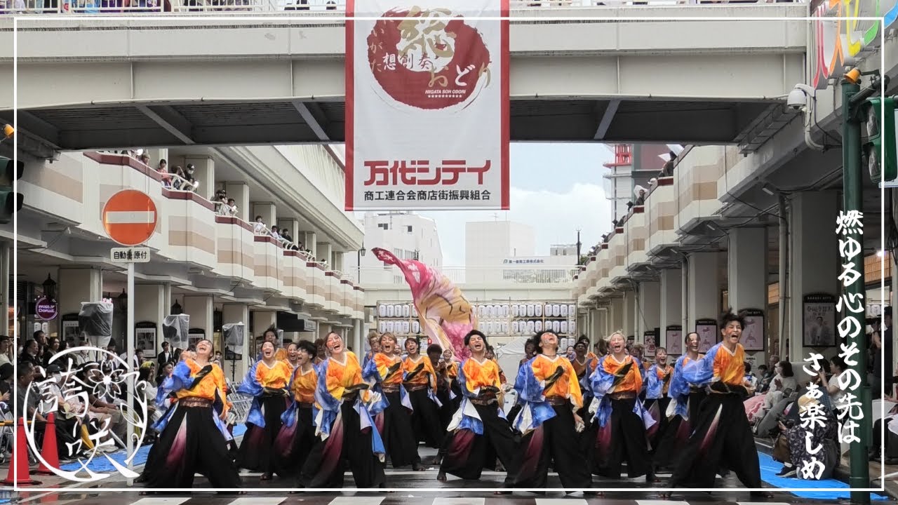【公式】関東学院大学”誇咲”2024年度演舞「零桜」　にいがた総おどり　万代シティ十字路メイン会場