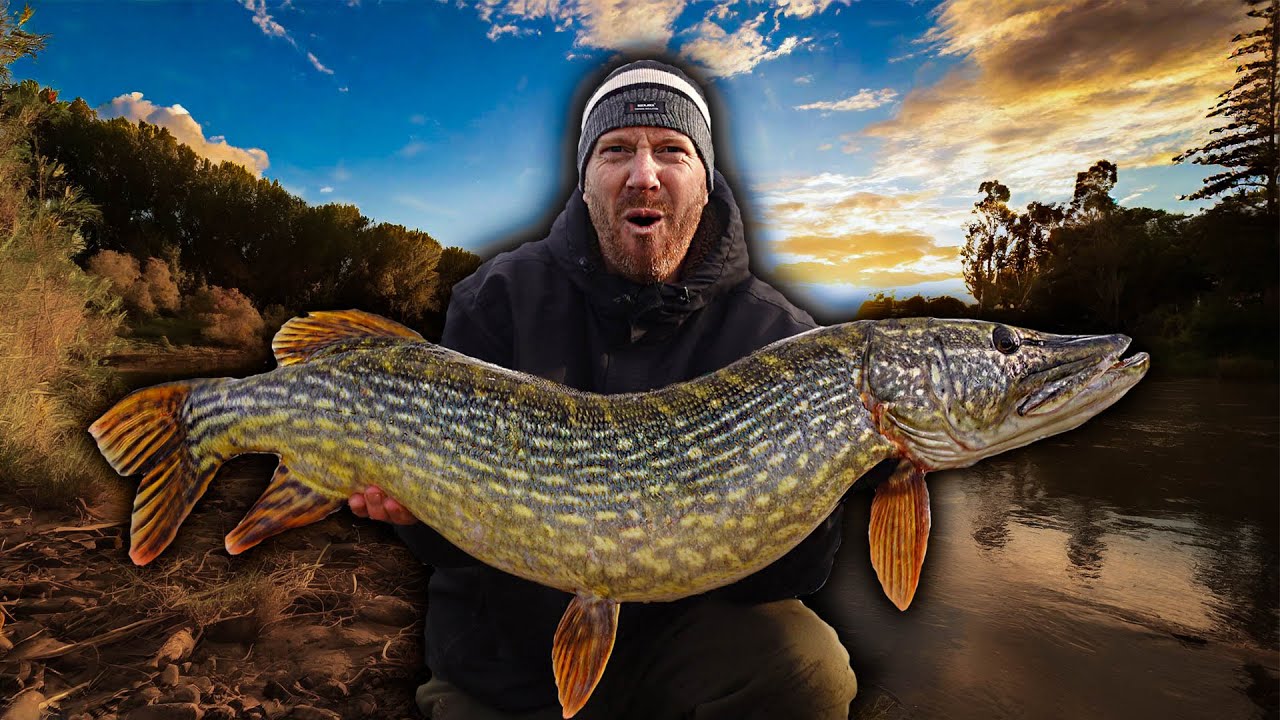 Ultimate Pike Fishing -  Triumph on the River Trent