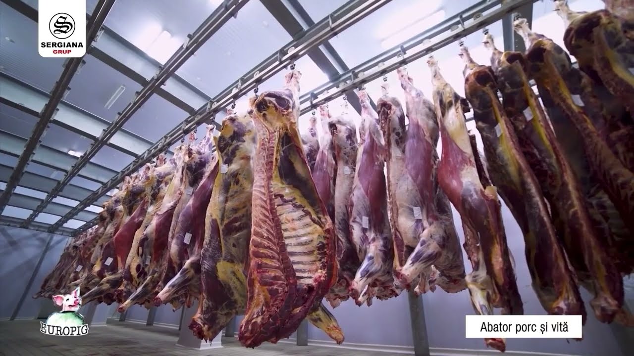 EUROPIG - Complex zootehnic, nutrețuri și animale