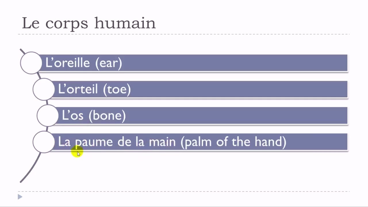 Learn French in 5 days with Vincent  I  Day 4