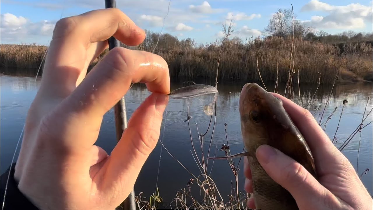 Na to zawsze biorą! Najlepsza przynęta na okonie. Drop shot zimą - Keitech ES Wkra 2023 🎣👍