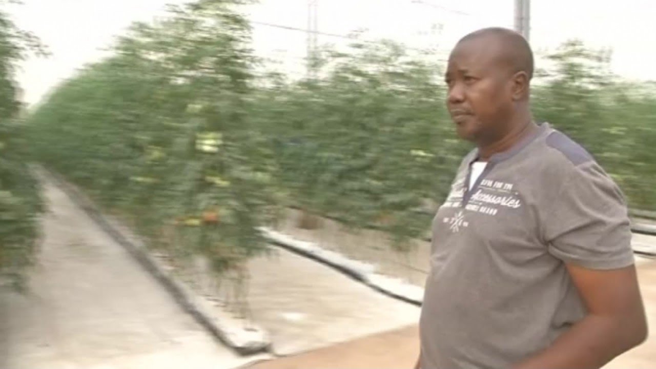 Mali, PRATIQUE DE L'AGRICULTURE SOUS SERRE