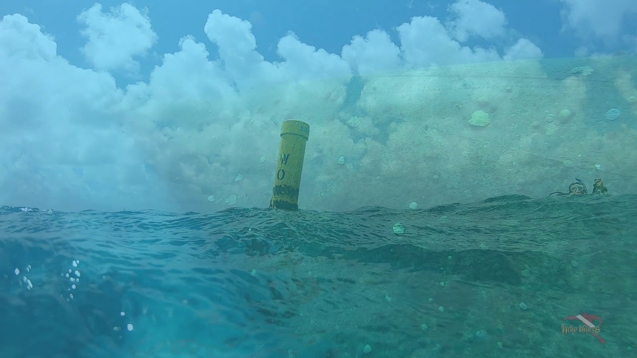 Buceo en Bonaire 2019