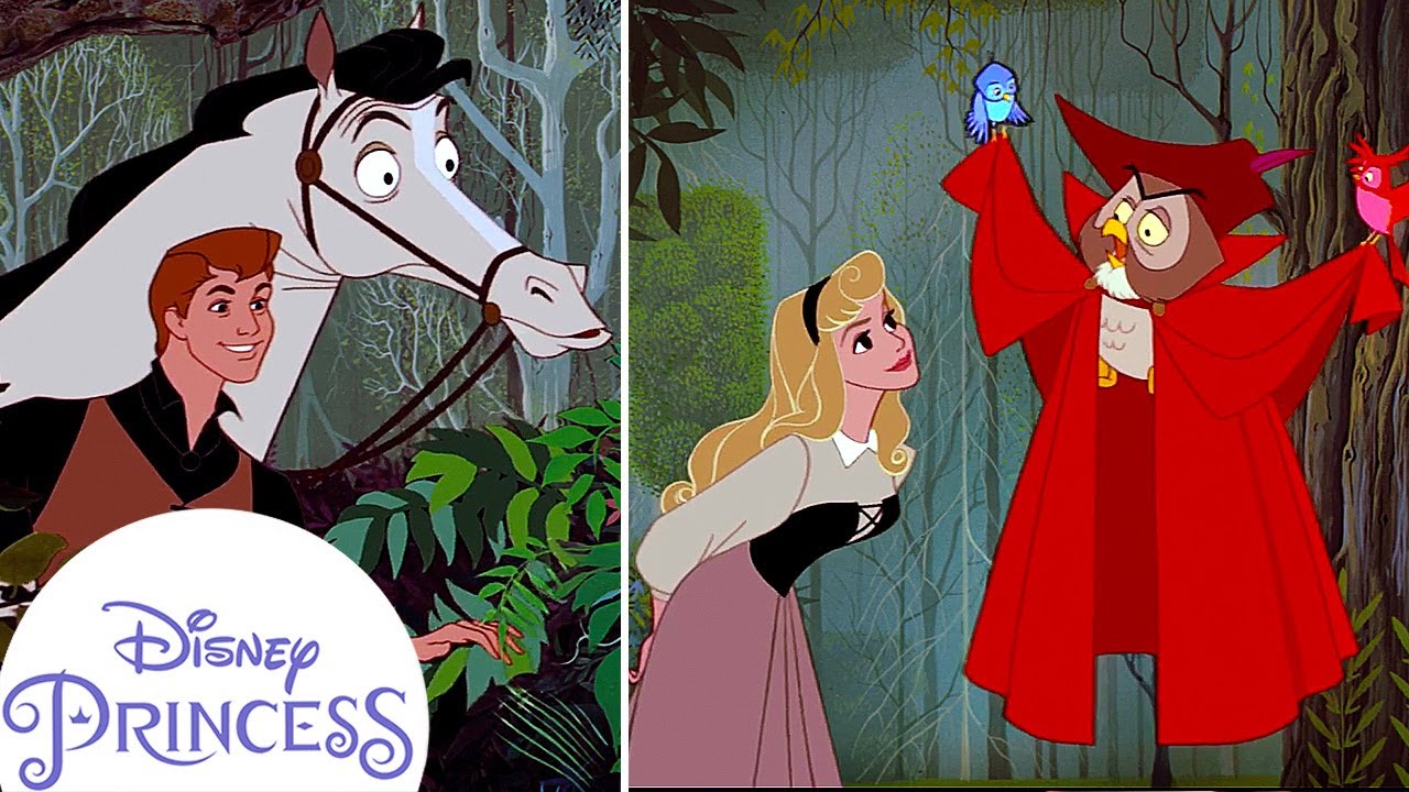How Did Aurora Meet Prince Phillip? | Disney Princess