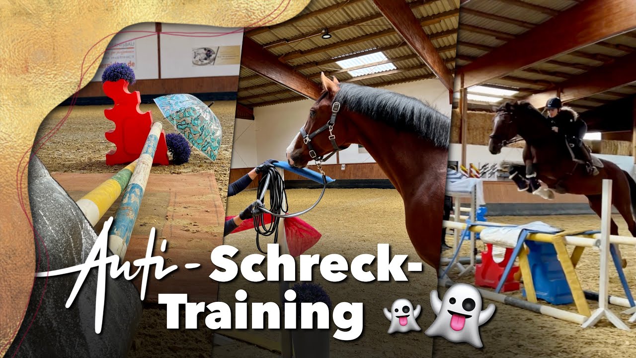 Gelassenheitstraining und Anti-Schrecktraining | Selbstbewusste Pferde