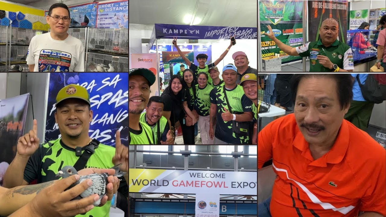 WORLD GAMEFOWL EXPO 2025 |Reggie Cruz Loft & Aviary #reggiecruzloftandaviary #reggiecruzloft