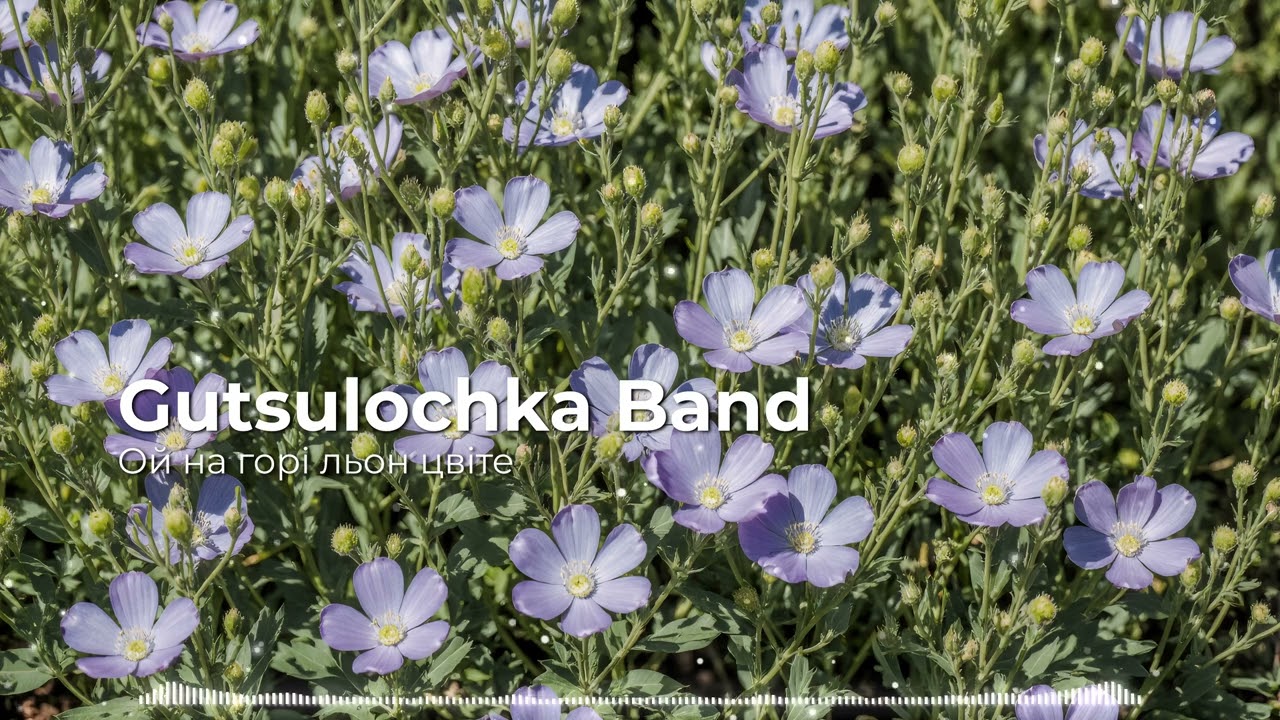 Ой на горі льон цвіте - Gutsulochka Band
