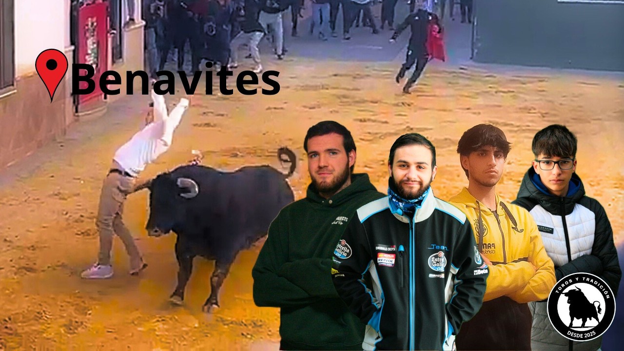 Toros Benavites!! Bou de Gener!! 31-01-2026