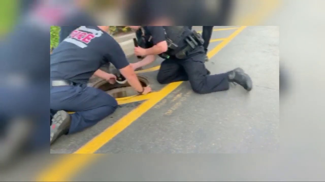 WATCH: Billings police, firefighters rescue ducklings trapped in storm drain