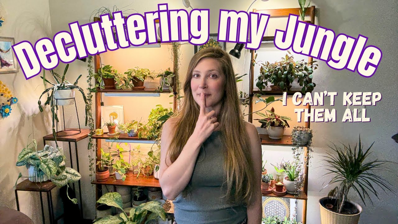 Going Through 100+ plants for an Overdue Plant Purge | Declutter my Home | Quick Houseplant Tour
