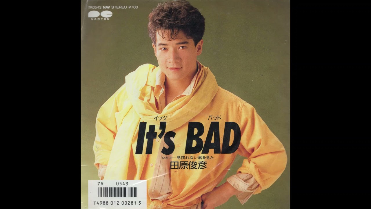 TOSHIHIKO TAHARA - ITS BAD