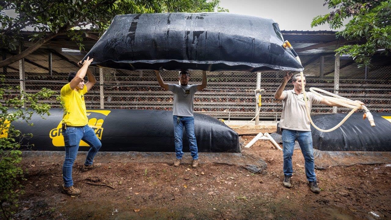 Procesar la gallinaza con biodigestor en Guatemala