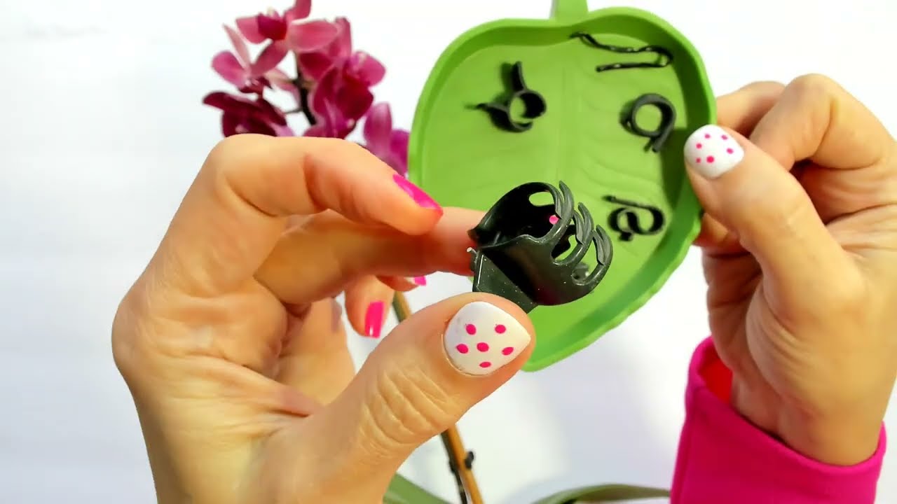 Como tener orquideas perfectas y con muchas flores cuales son las cosas que la da&ntilde;an #410