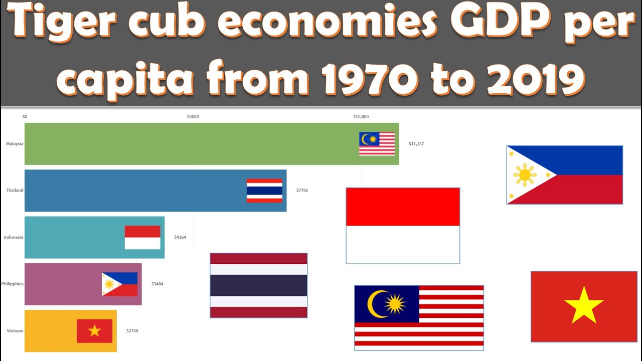 Tiger cub economies GDP per capita from 1970 to 2019 animation