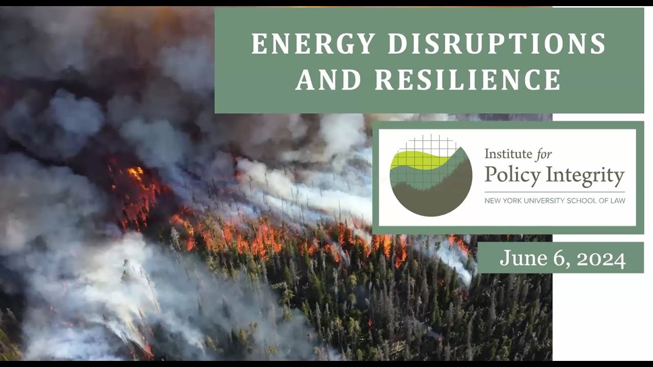 Energy Disruptions and Resilience