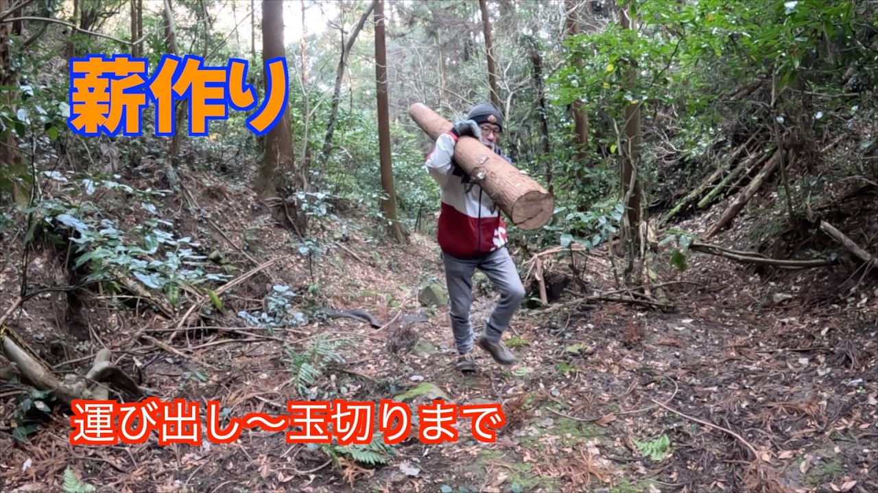 【薪づくり】伐倒した倒木を運ぶのに大苦戦！重い！