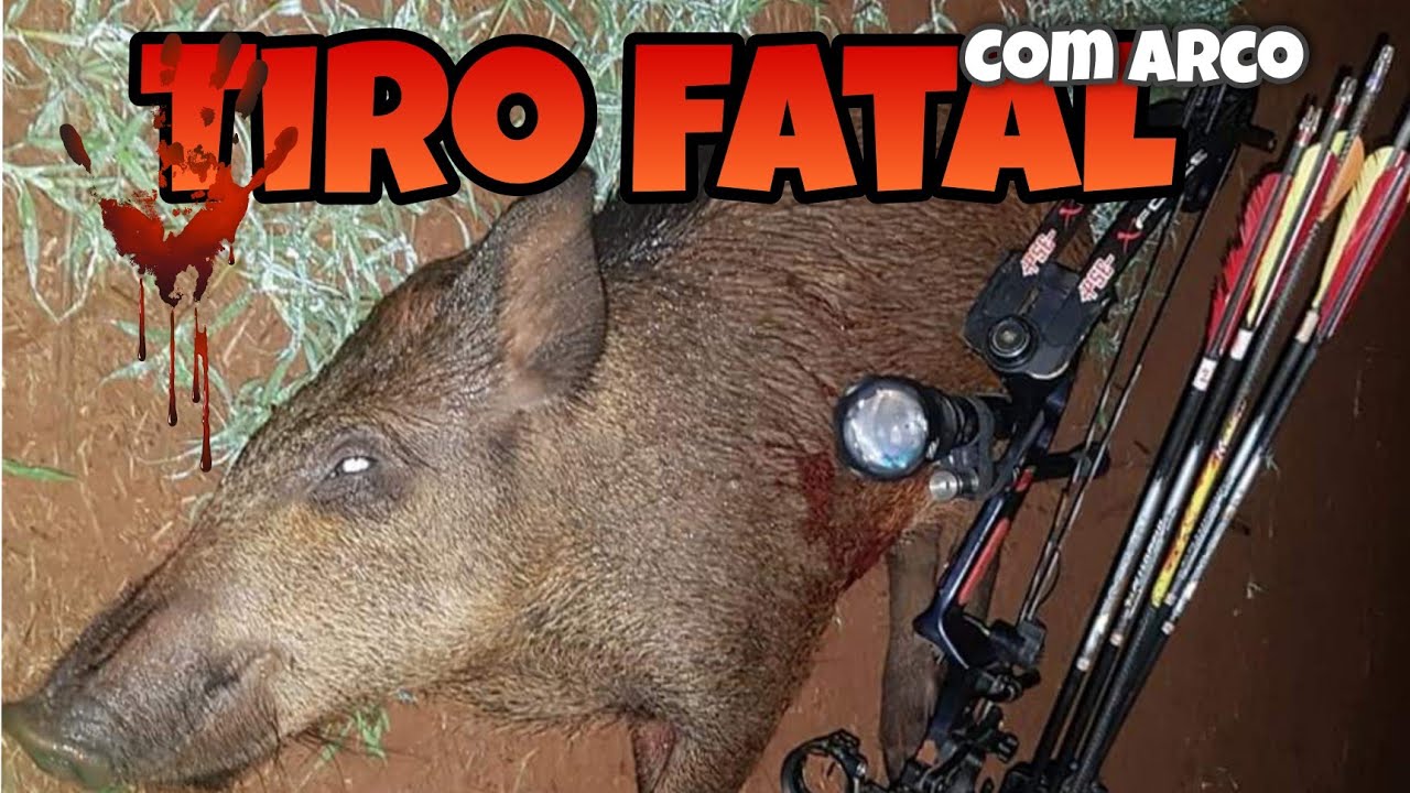 Dica de Tiro FATAL para Caçar Javalis com Arco #javali