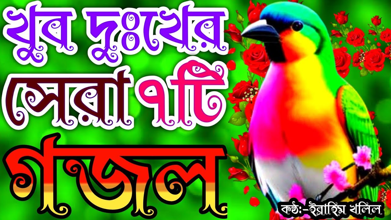 একবার শুধু শুনেন জীবন বদলে দেওয়ার মতো সেরা ৭টি গজল | gojol | new gojol | গজল | islamic song | gojal