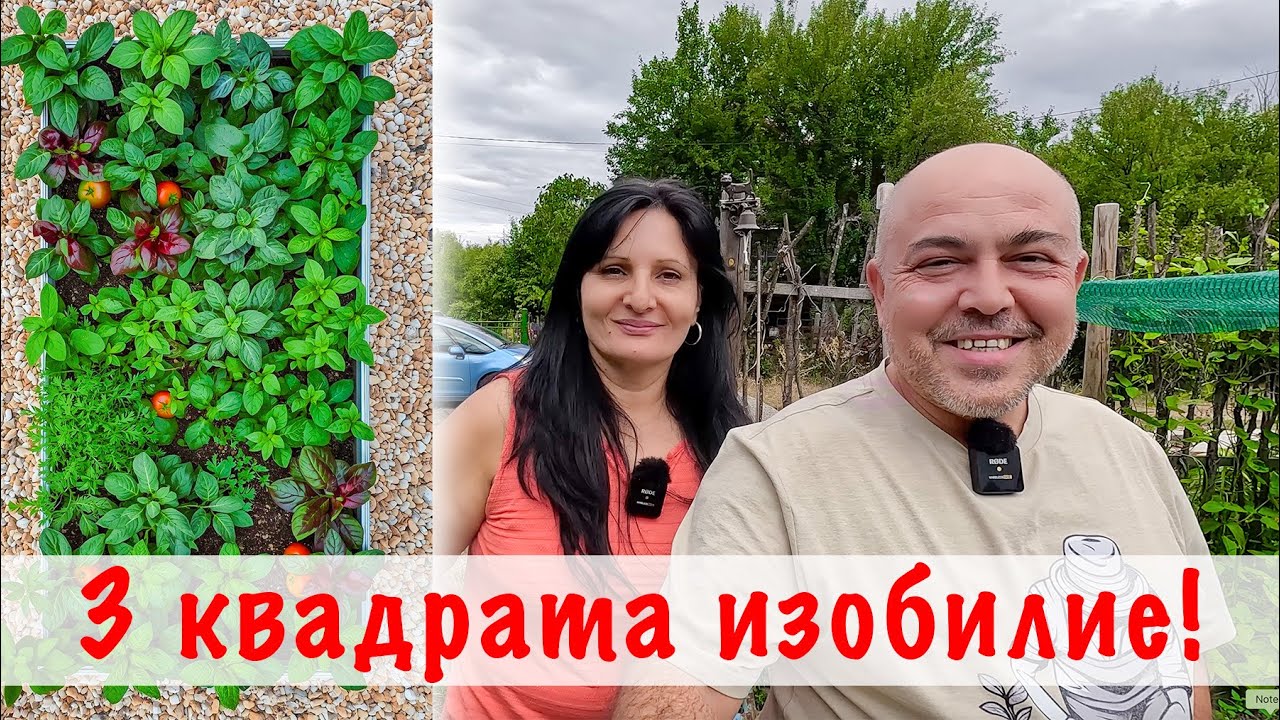 Изобилие от зеленчуци само на 3 кв.м – тайната на повдигнатите лехи